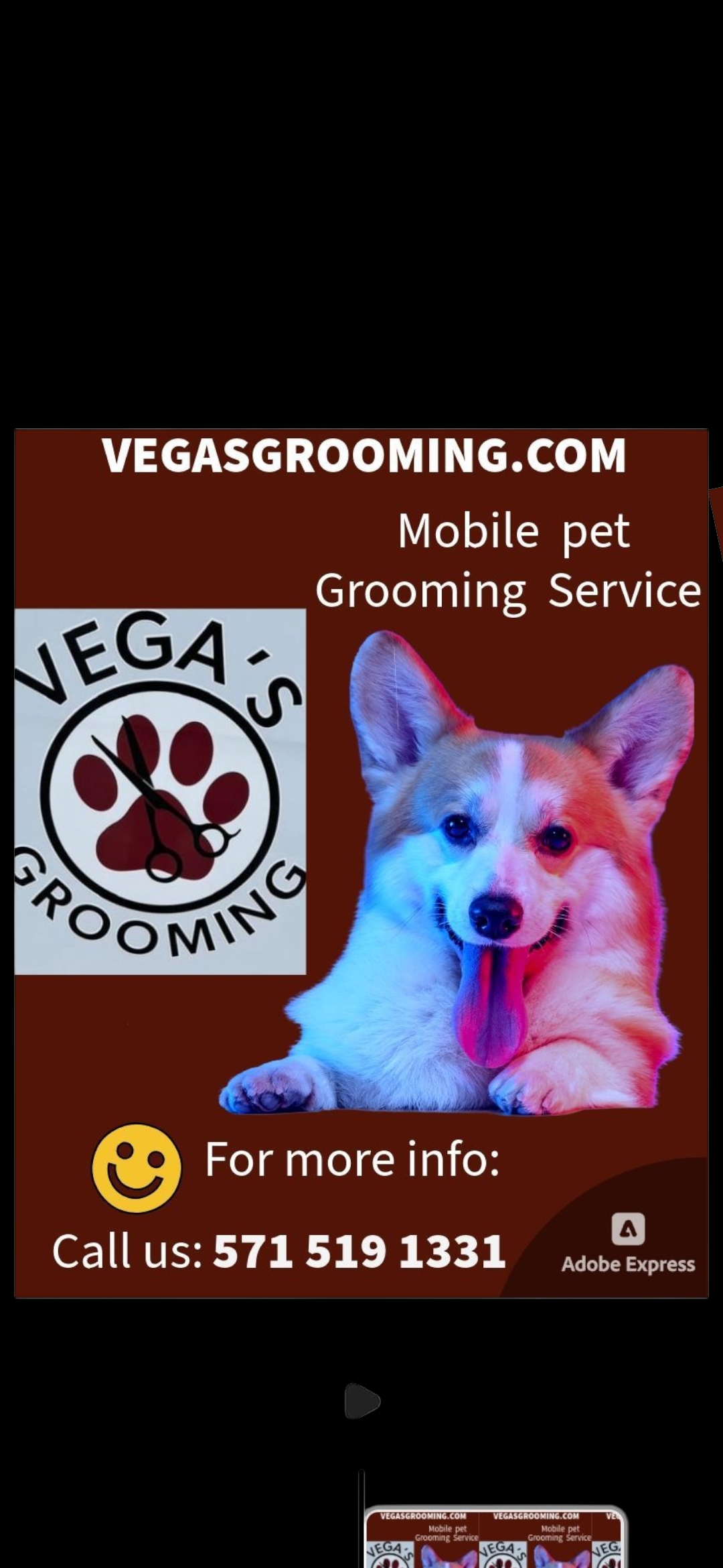 Vega's Pets Grooming